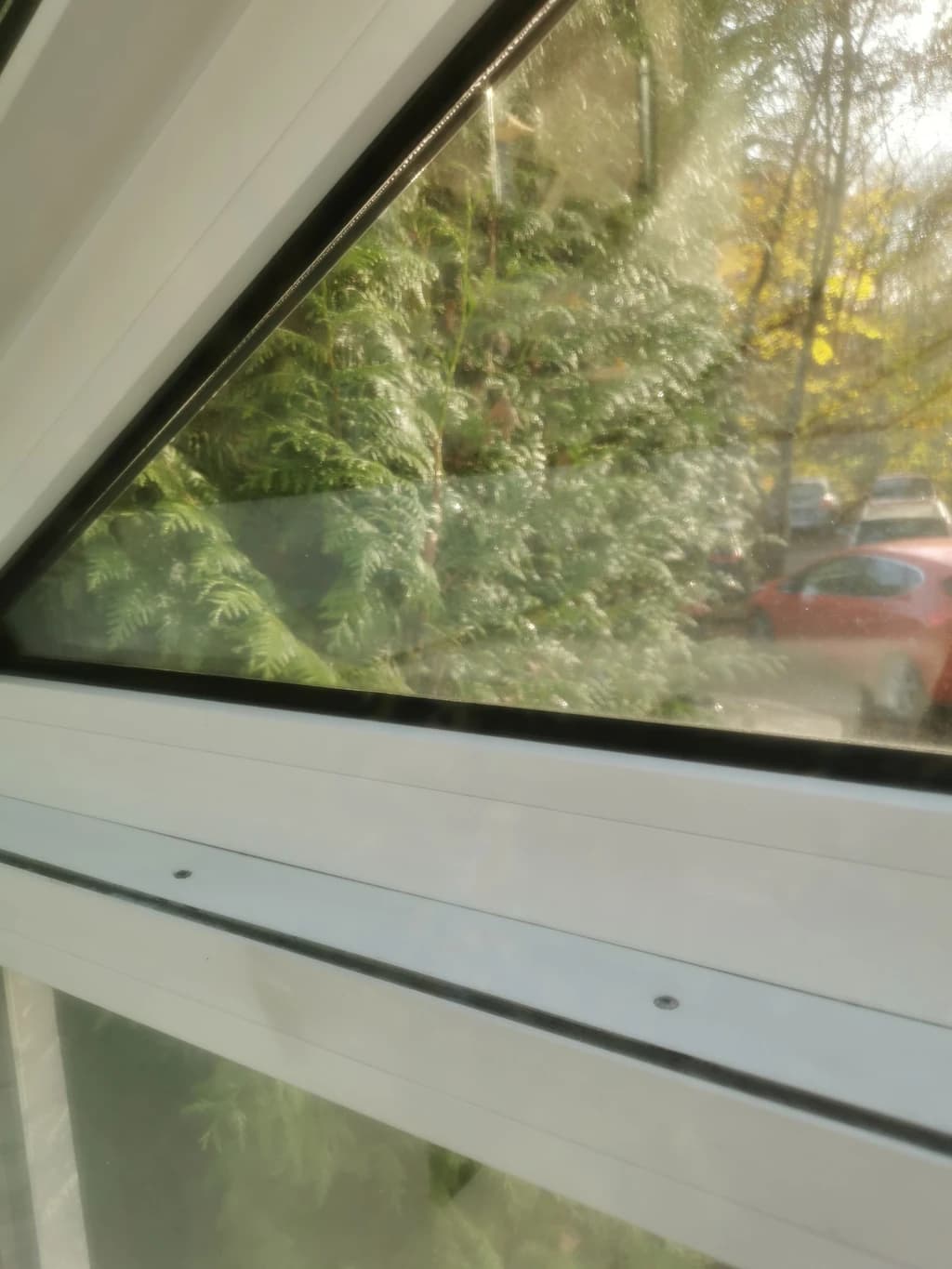 Ein Blick aus einem dreieckigen Fenster auf einen Garten mit Bäumen und einem roten Auto. Das Fenster ist weiß und hat einen schwarzen Rahmen.